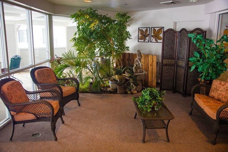 Apple Tree in Kaysville in Kaysville, UT