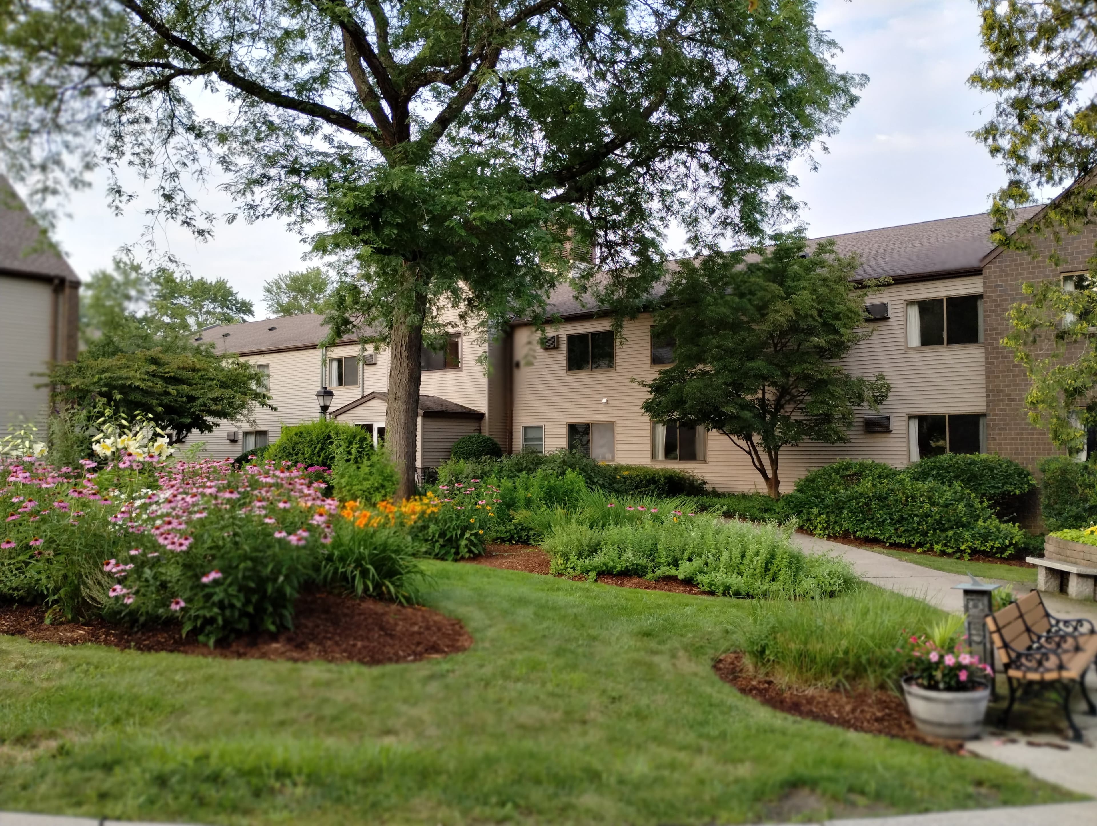 Day Brook Village Senior Living in Holyoke, MA