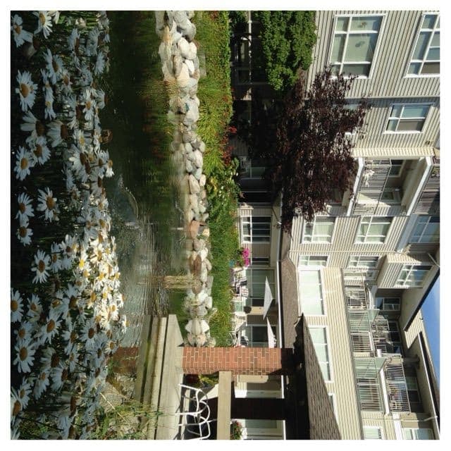 Magnolia Gardens in Langley, BC