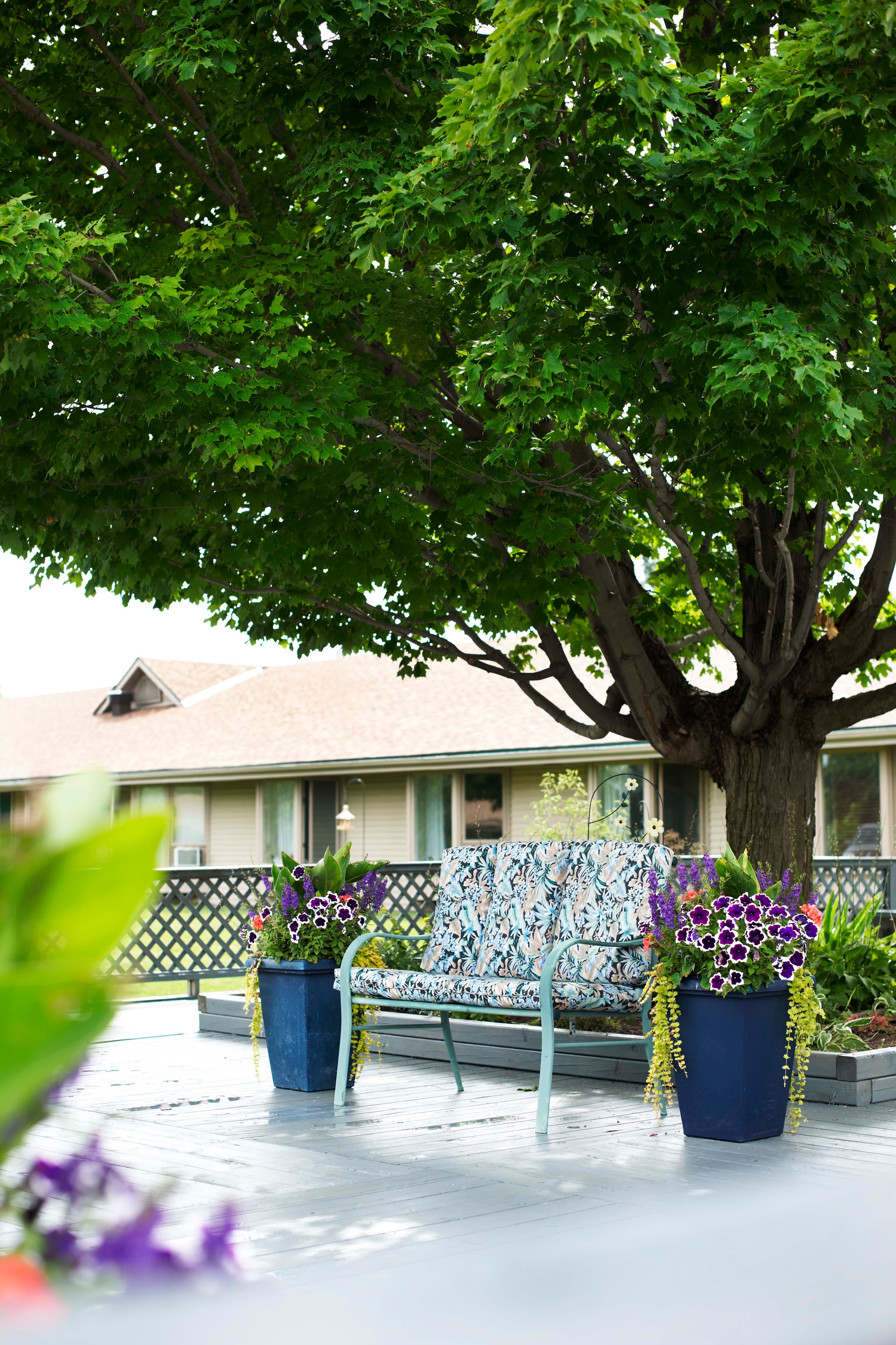 Maple View Terrace in London, ON