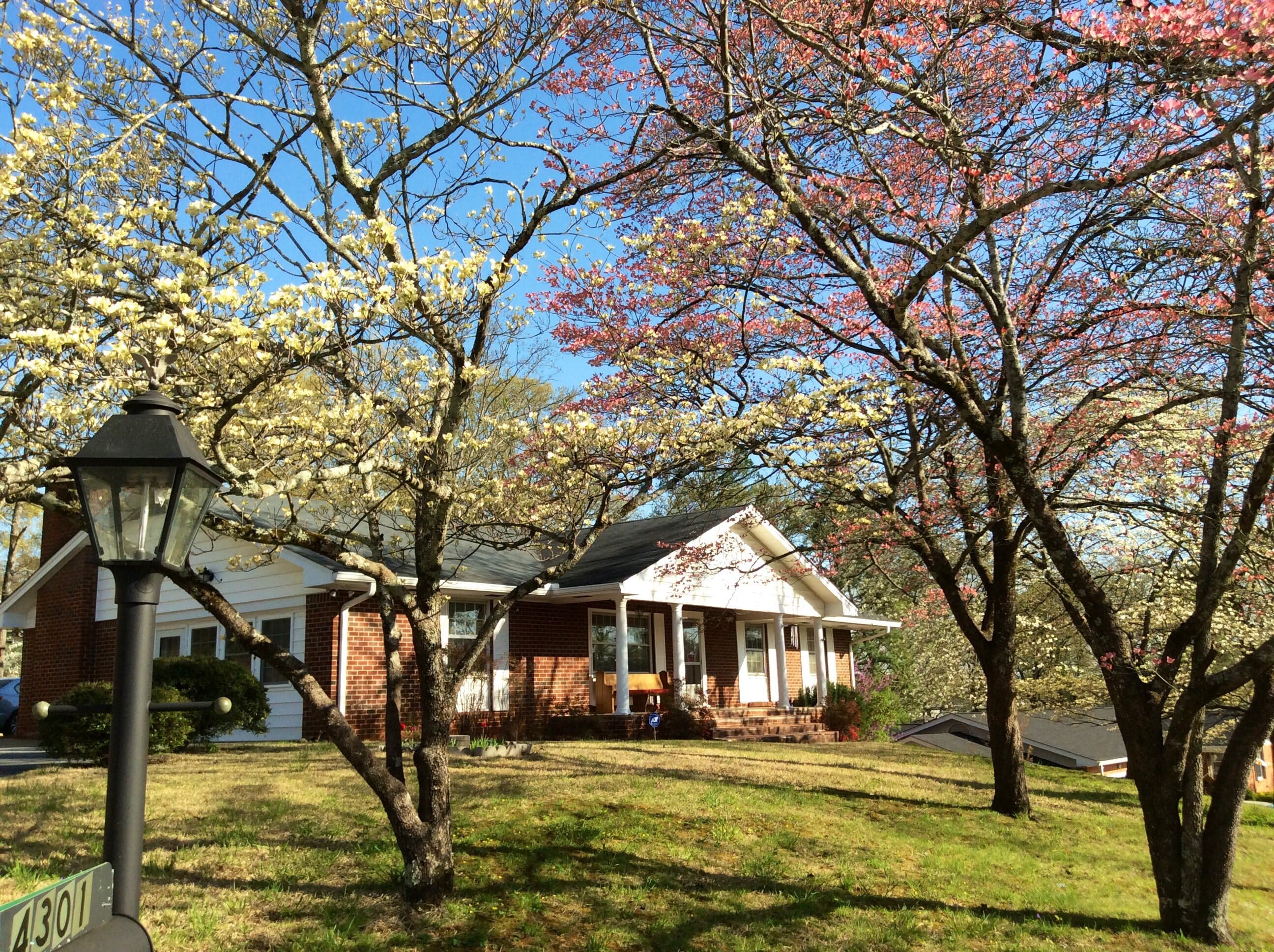 Memory Lane at Forest Plaza in Cleveland, TN