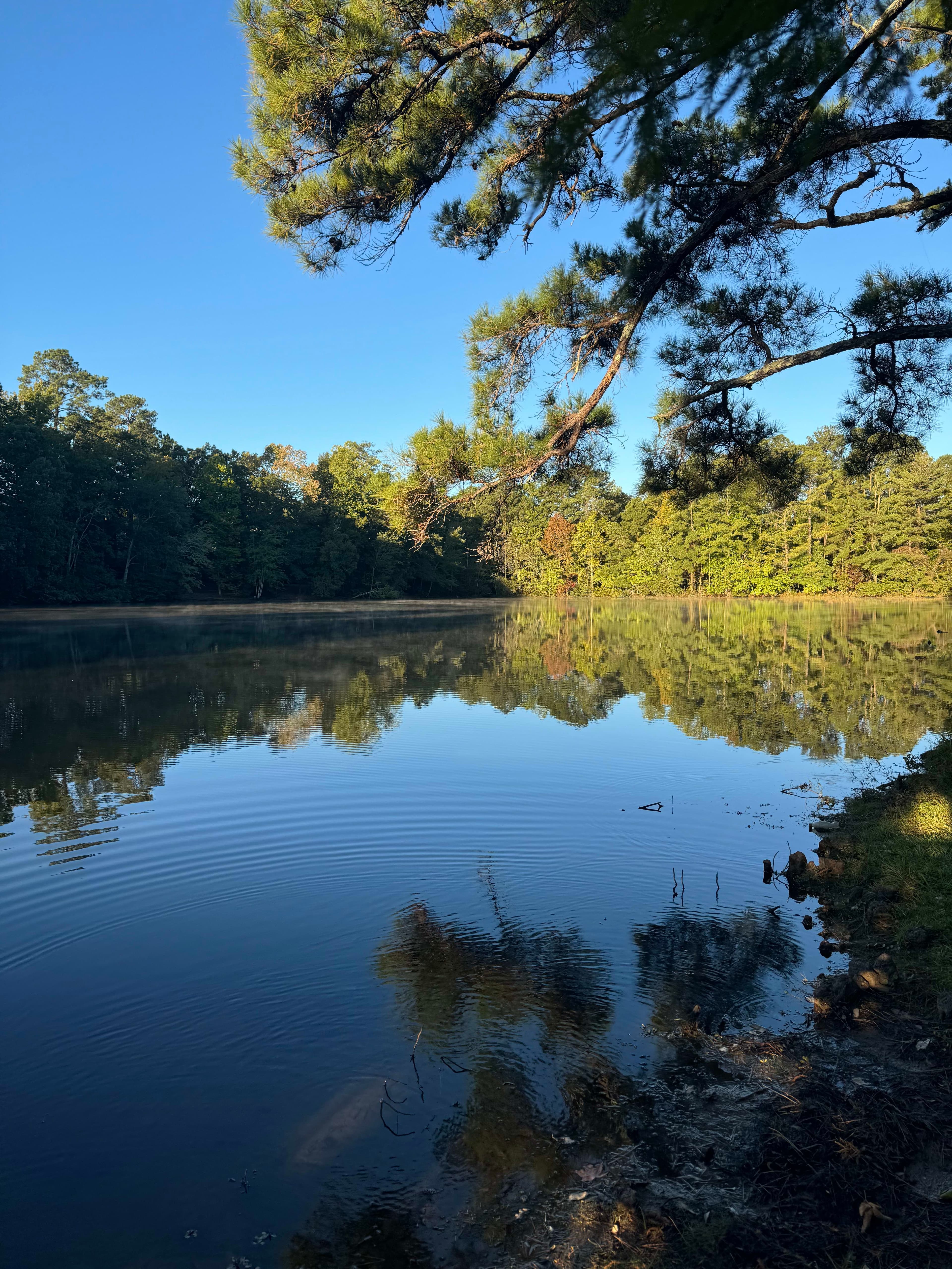 The Residences at Arbor Lake in Auburn, AL